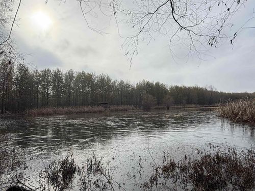 118 Cloar Rd, Earle, AR, 72331 | Card Image