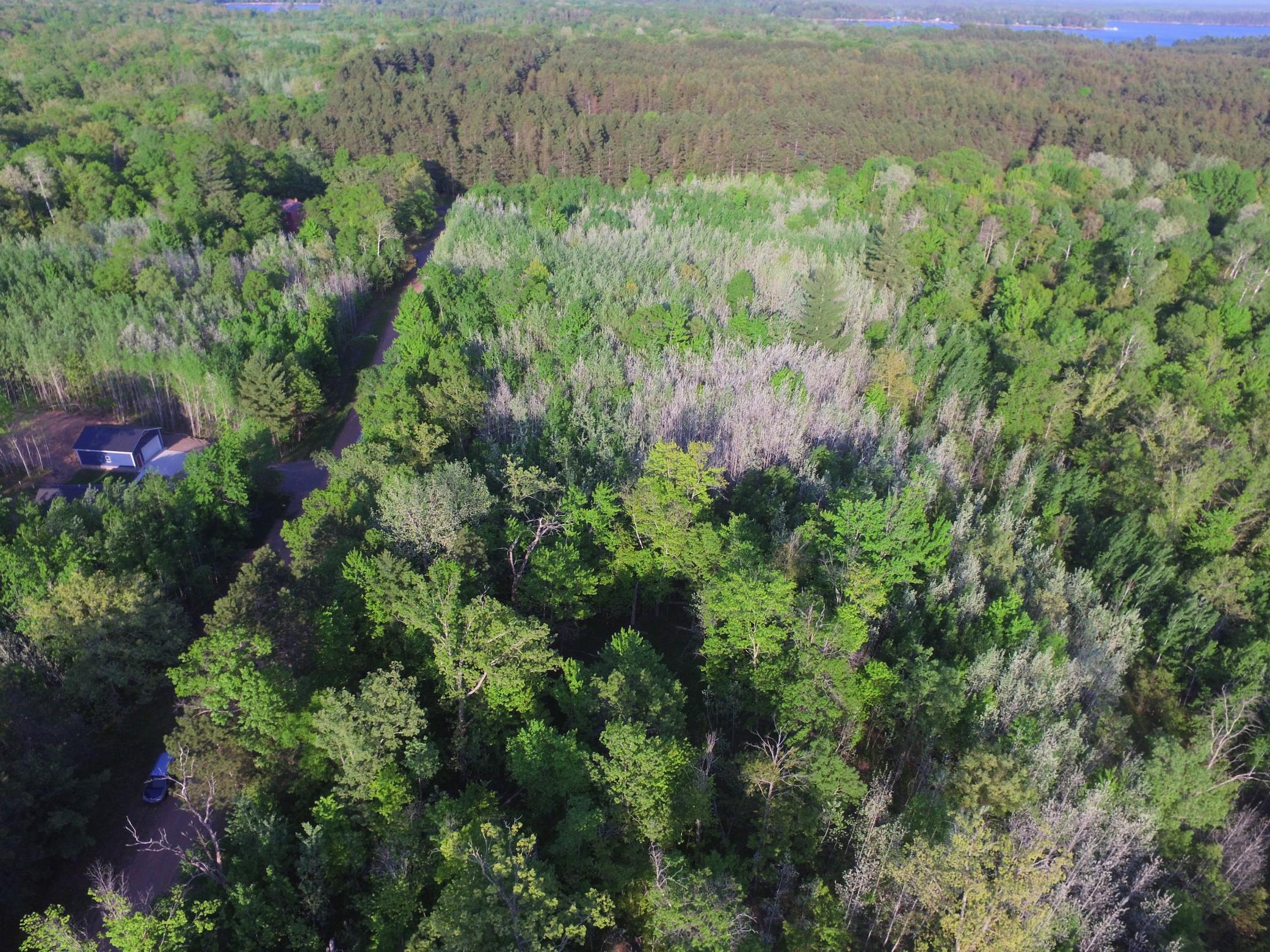 Land in Webster 5