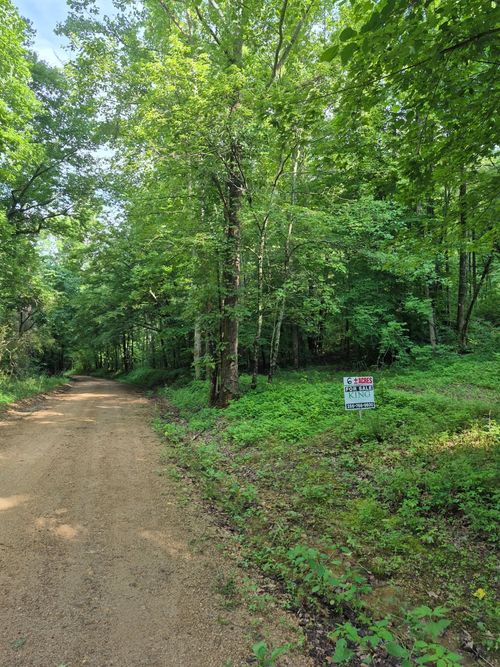 0 County Road 462, Lexington, AL, 35648 | Card Image
