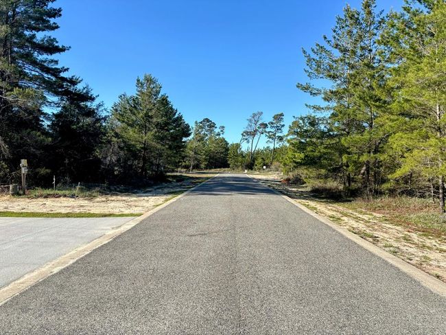 1706 Landing St, Home with 0 bedrooms, 0 bathrooms and null parking in Carrabelle FL | Image 12