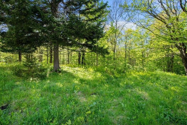 4106 Hill West Rd, House other with 1 bedrooms, 1 bathrooms and null parking in Montgomry Ctr VT | Image 27