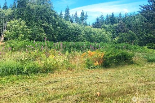 lot-5-0 S Valley Ln, Naselle, WA, 98638 | Card Image