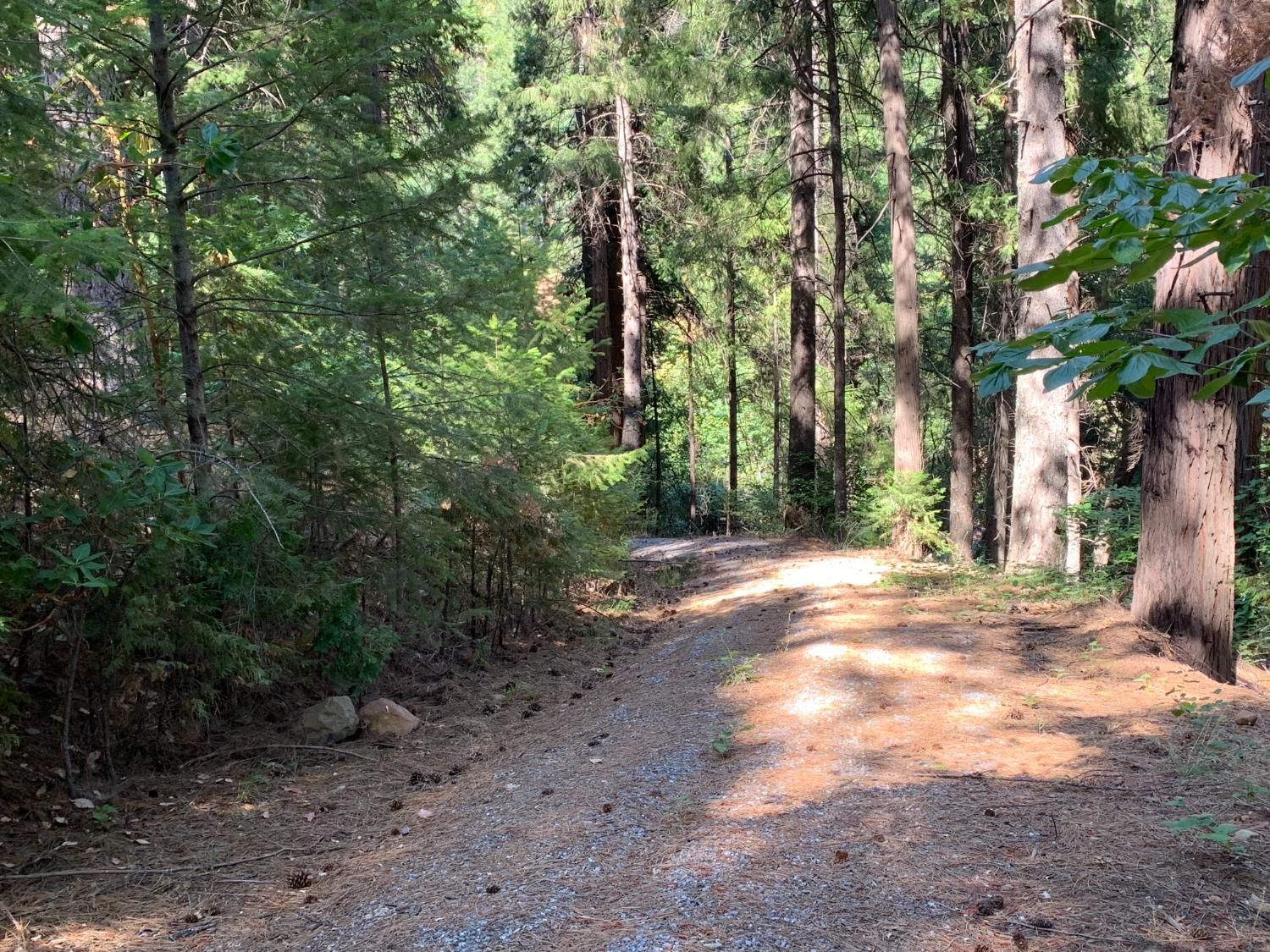 Land in Pollock Pines 5
