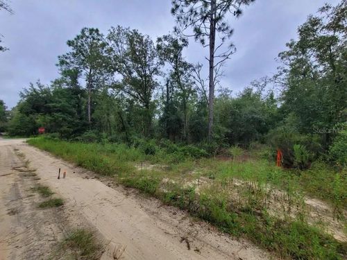 TBD Ne 120th Street, Bronson, FL, 32621 | Card Image
