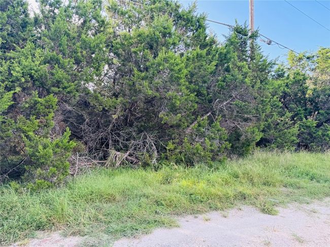 View of nature | Image 6