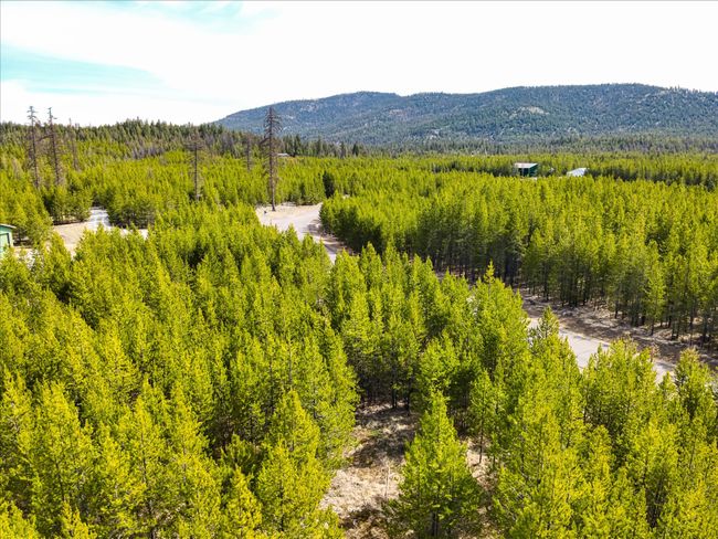 135 Wright Way, Home with 0 bedrooms, 0 bathrooms and null parking in Marion MT | Image 20