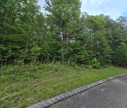 Lot 157 Lower Brow Rd, Dunlap, TN, 37327-6878 | Card Image