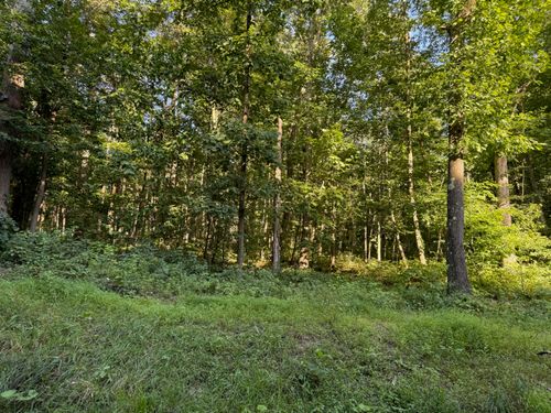 871 Morrow Rd, Home, PA, 15747-7505 | Card Image