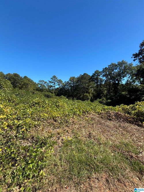 44-0 Allred St, Oxford, AL, 36203 | Card Image