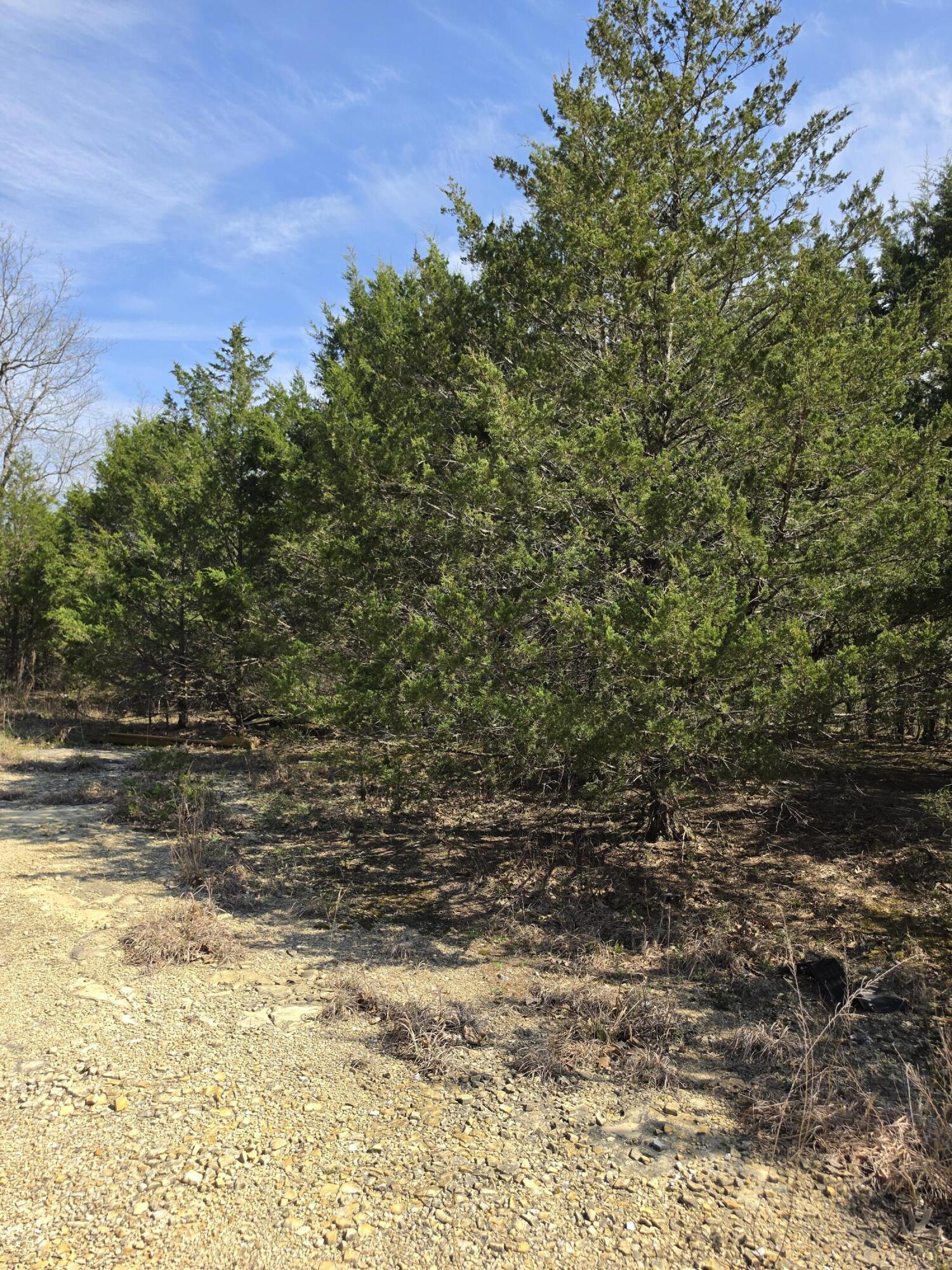 Land in Branson 5