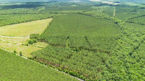 TBD Ten Acre Rd, Andrews, SC, 29510 | Card Image