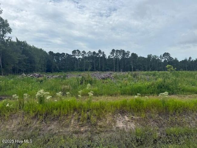 751 Stack Turner Rd, Home with 0 bedrooms, 0 bathrooms and null parking in Chadbourn NC | Image 4
