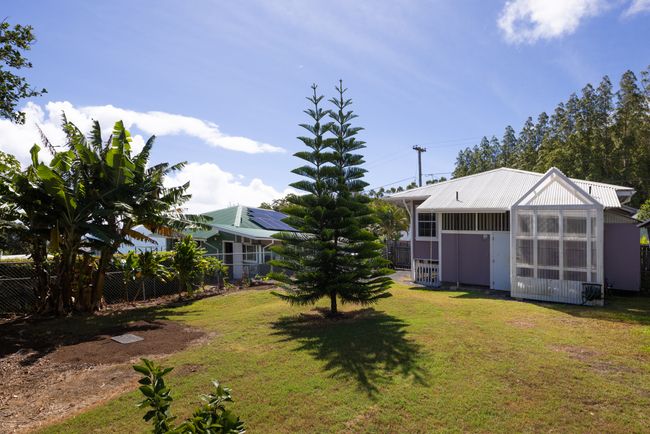Sweet backyard with bananas, norfolk, citrus, dragonfruit, and cesspool. | Image 15