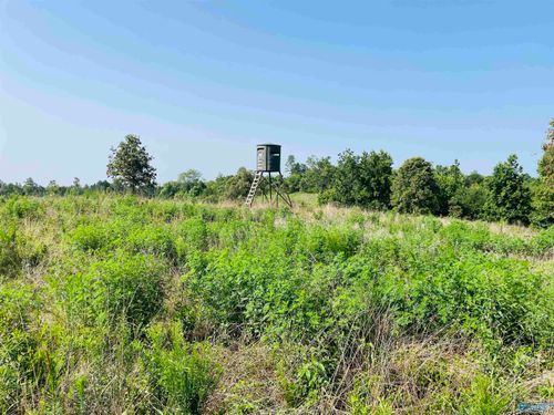 200 ac County Road 81, Flat Rock, AL, 35966-4530 | Card Image