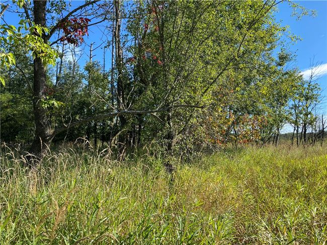 3 7th Street, Home with 0 bedrooms, 0 bathrooms and null parking in Weyerhaeuser WI | Image 6