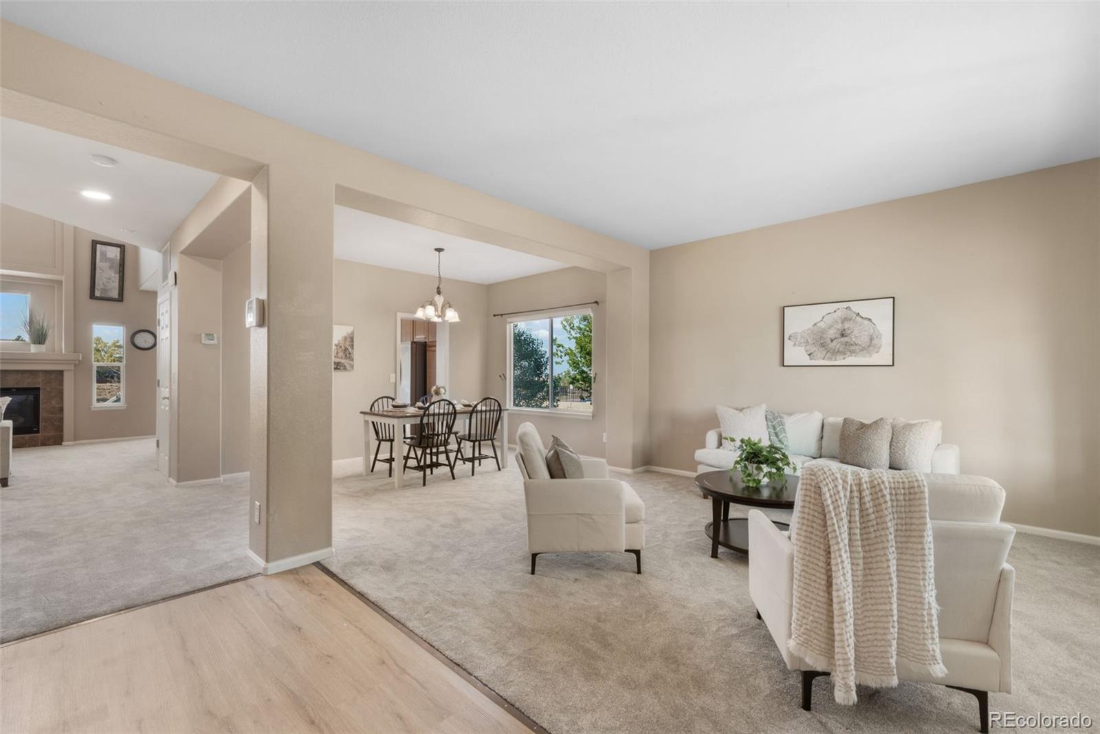 Residential in Castle Rock 3