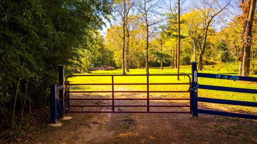 0 Live Oak St, Coldspring, TX, 77331 | Card Image