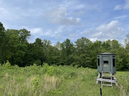 0 Kizer Ridge Rd, Erin, TN, 37061 | Card Image