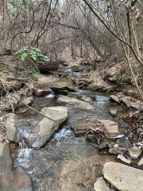 1007 Evanwood Dr, Lookout Mountain, TN, 37350-1445 | Card Image