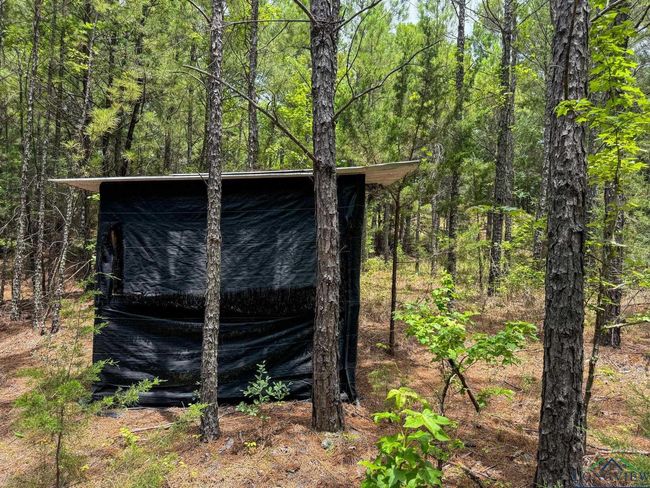 0000 Fm 3421, Home with 0 bedrooms, 0 bathrooms and null parking in Lone Star TX | Image 37