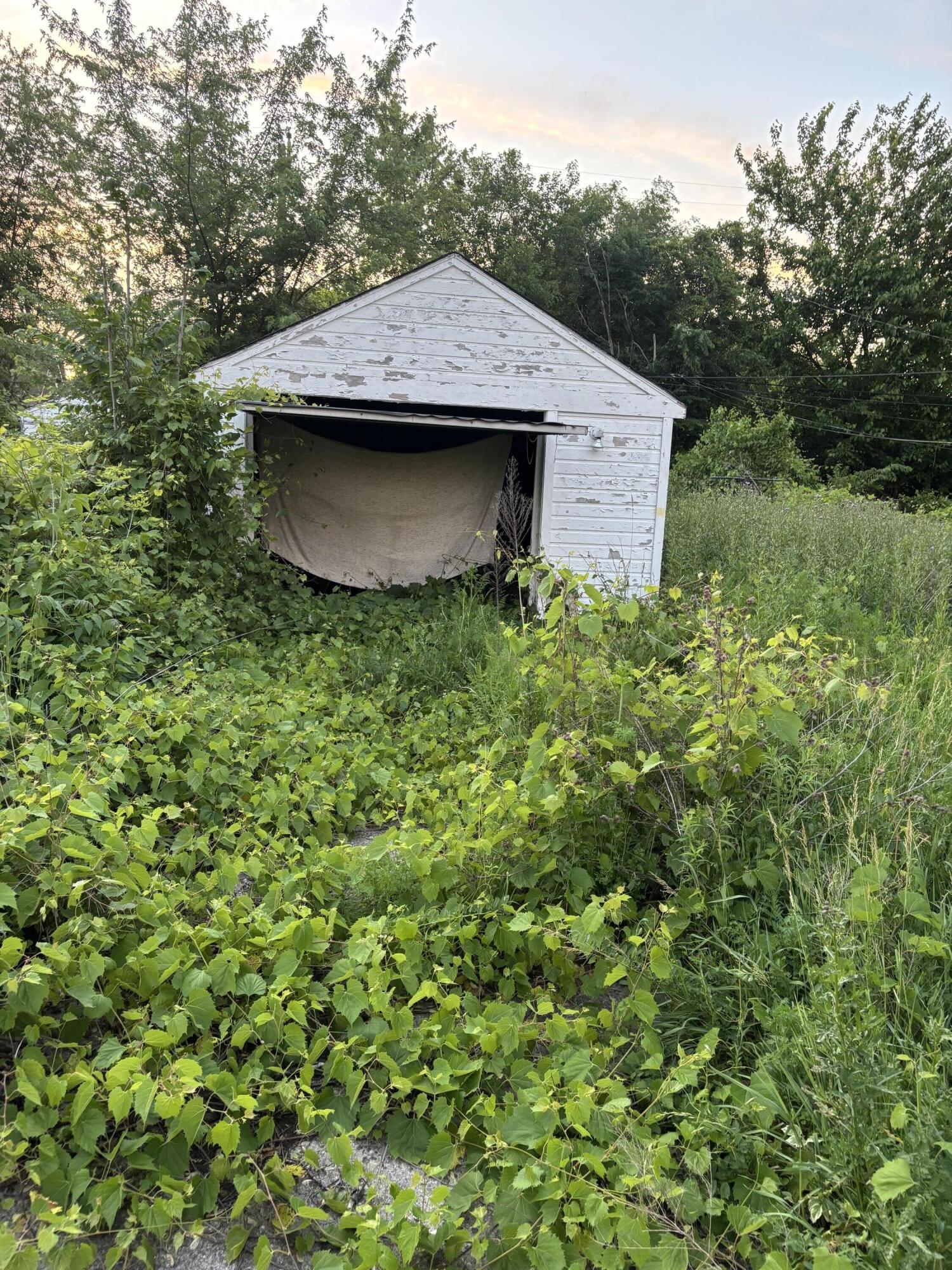 Residential in Detroit 2
