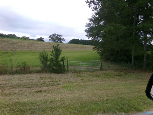 Lots 4- 9 County Road 235, Leesburg, AL, 35983-5229 | Card Image