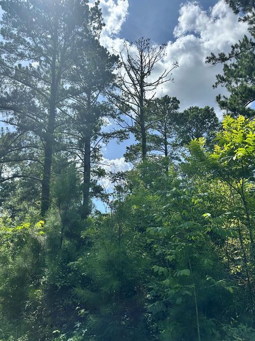 00 George Gray Rd, Danville, GA, 31017 | Card Image