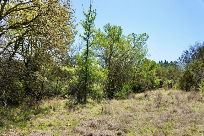 12345 County Road 107, Home with 0 bedrooms, 0 bathrooms and null parking in Mingus TX | Image 29