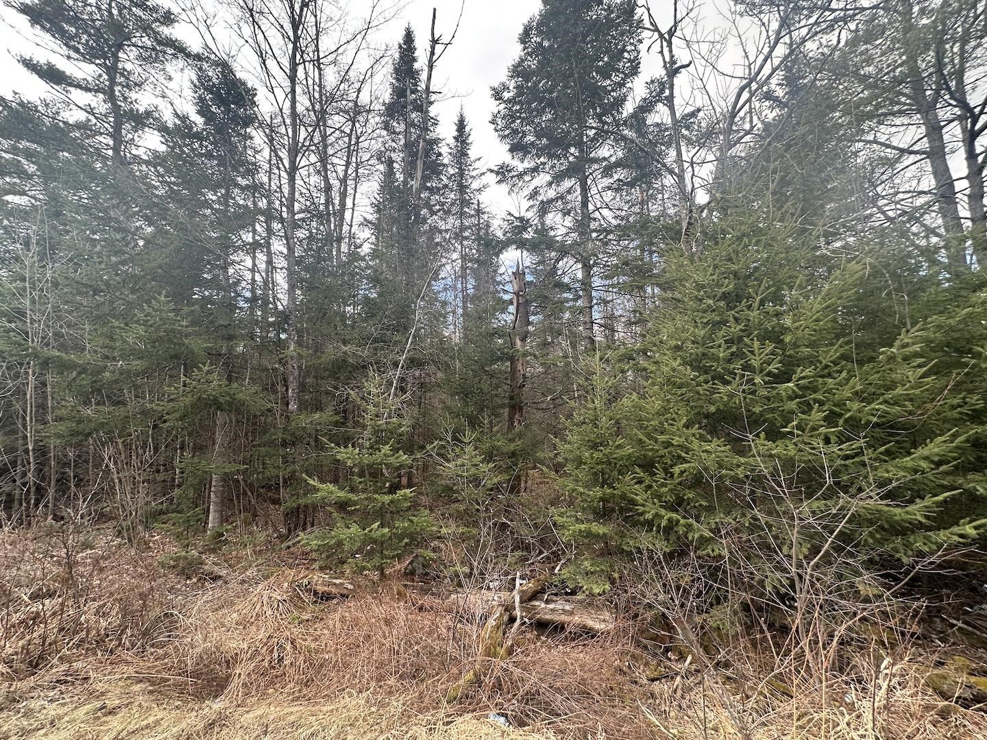 Land in Littleton 2