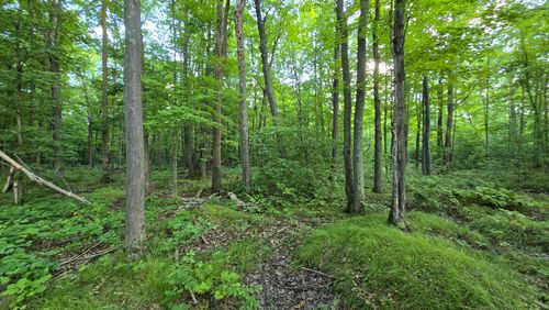 20-acres-OFF Cth Cc, Gleason, WI, 54435 | Card Image