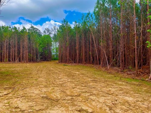 TBD Reeves Rd Se, Ruth, MS, 39662 | Card Image