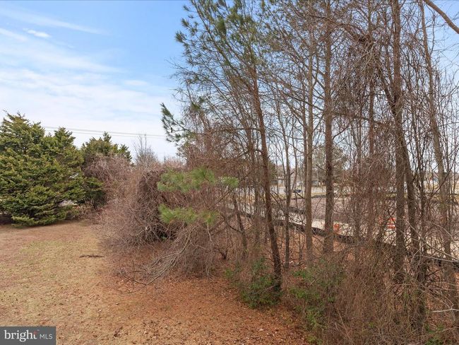 59 - 18 Calvert St, Townhouse with 4 bedrooms, 4 bathrooms and null parking in OCEAN VIEW DE | Image 50