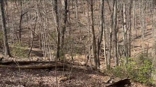 0 Valley View Dr, Jasper, GA, 30143 | Card Image