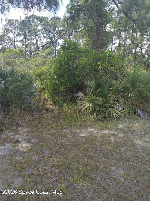 Unknown Peppertree St, Cocoa, FL, 32926 | Card Image