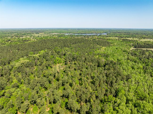 1 County Rd, Home with 0 bedrooms, 0 bathrooms and null parking in Leesburg TX | Image 23