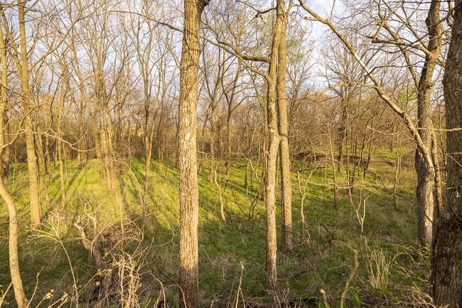 View of nature featuring a view of trees | Image 92