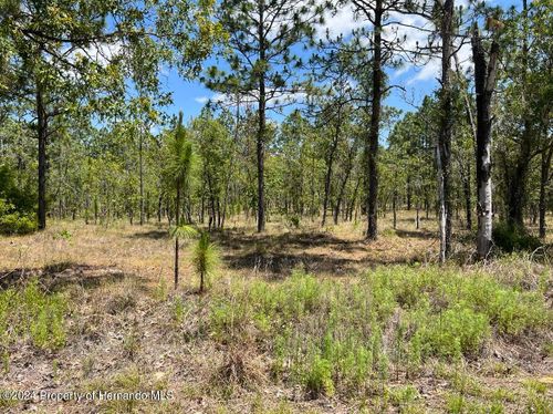 lot-33-00 Nw Amberjack Avenue, Dunnellon, FL, 34431 | Card Image