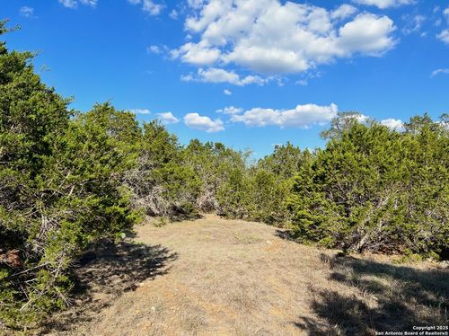 TBD Saddle Tree, Bandera, TX, 78003 | Card Image