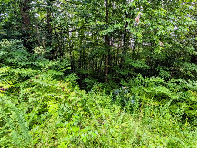 32 Lakeview Dr, Home with 0 bedrooms, 0 bathrooms and null parking in Turtletown TN | Image 8