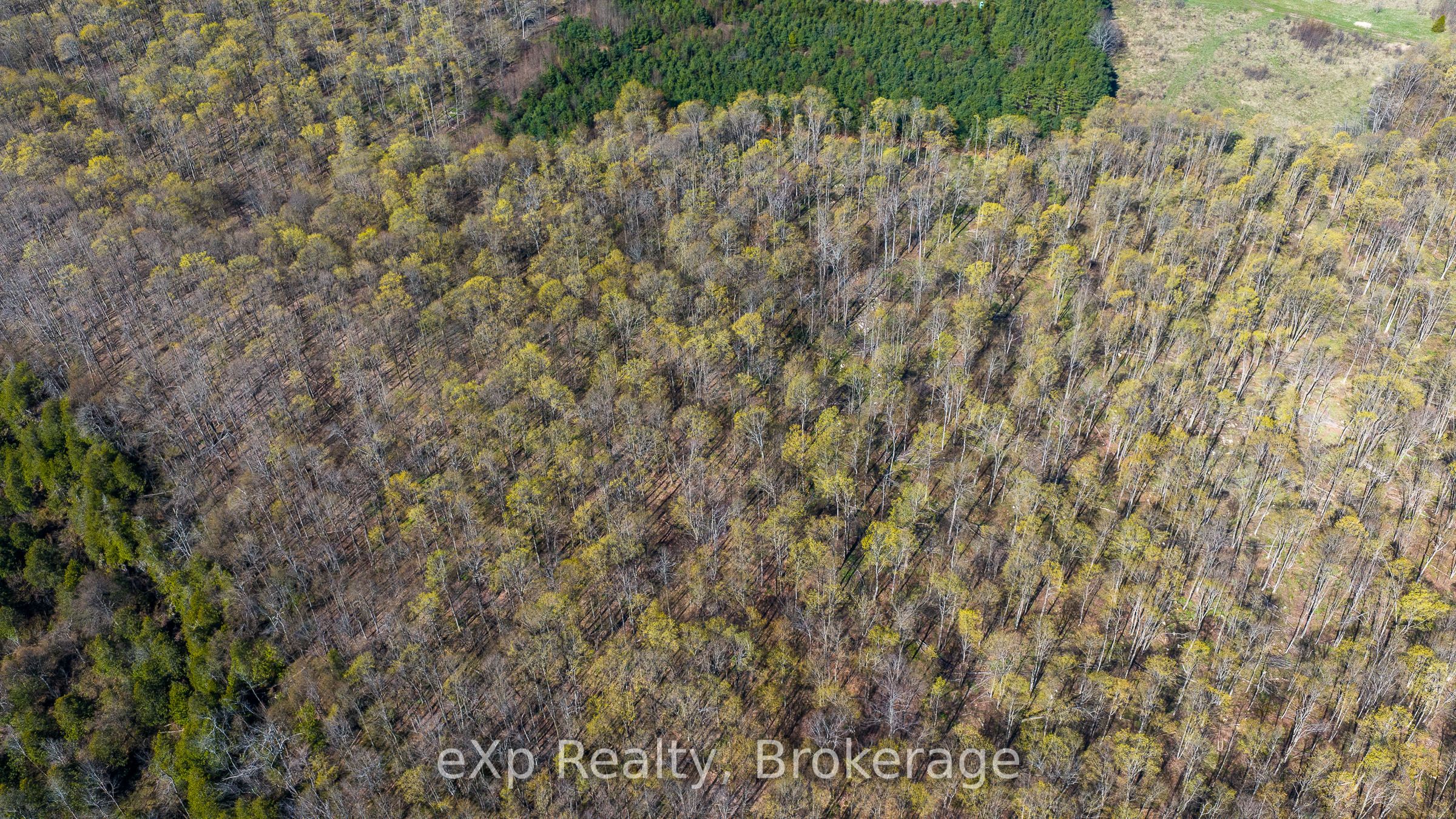 Residential in Meaford 4