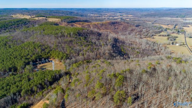 80 acres Rock Creek Rd, Home with 0 bedrooms, 0 bathrooms and null parking in Eva AL | Image 23