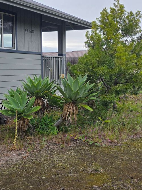 92-1670 Hukilau Dr, OCEAN VIEW, HI, 96704-8041 | Card Image