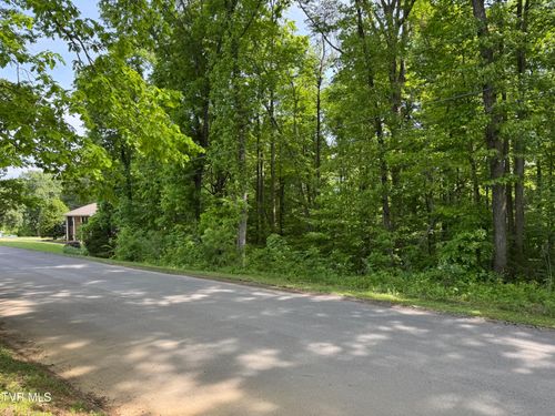 Lt 6 Parrish Drive, Greeneville, TN, 37743 | Card Image