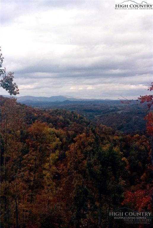Land in Jefferson 3
