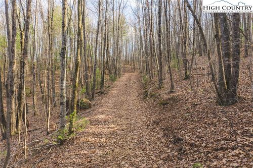 TBD Lot 2 All Healing Springs Road, Taylorsville, NC, 28681 | Card Image