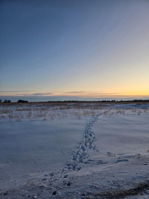 TBD County Highway 32, Gary, MN, 56545 | Card Image