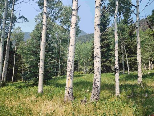 19 Oliver Street, Monte Vista, CO, 81144 | Card Image