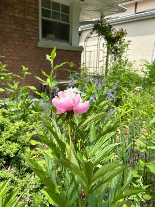 2417 Lyons St, Evanston, IL, 60201-3367 | Card Image