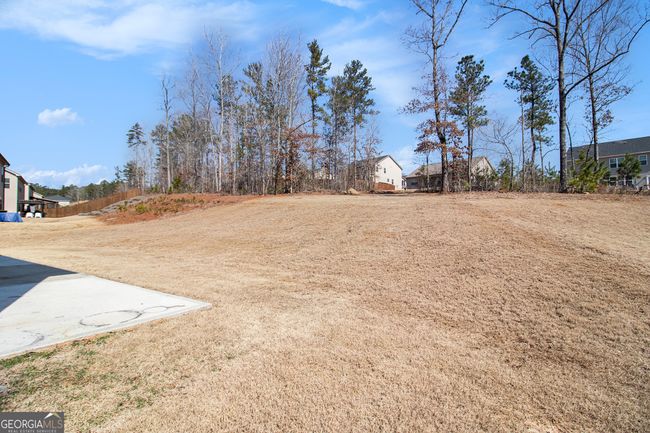 159 Blossom Wood Dr, House other with 5 bedrooms, 4 bathrooms and 4 parking in Senoia GA | Image 30