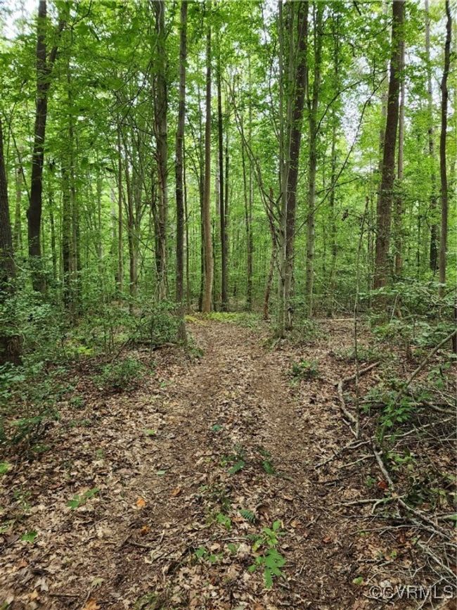 View of landscape | Image 4